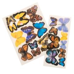 mariposas de acetato